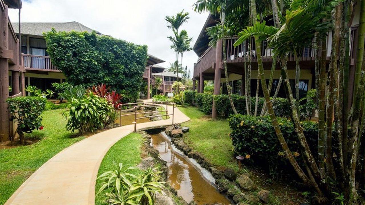 Photo of Outdoor in Princeville