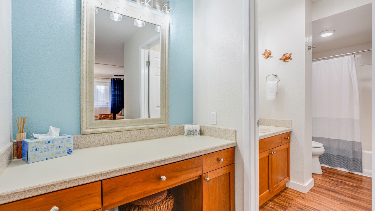 Photo of Bathroom in Kapaa