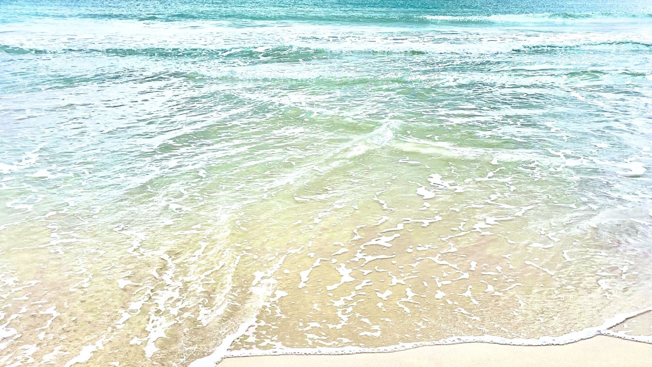 Photo of Others in Kailua