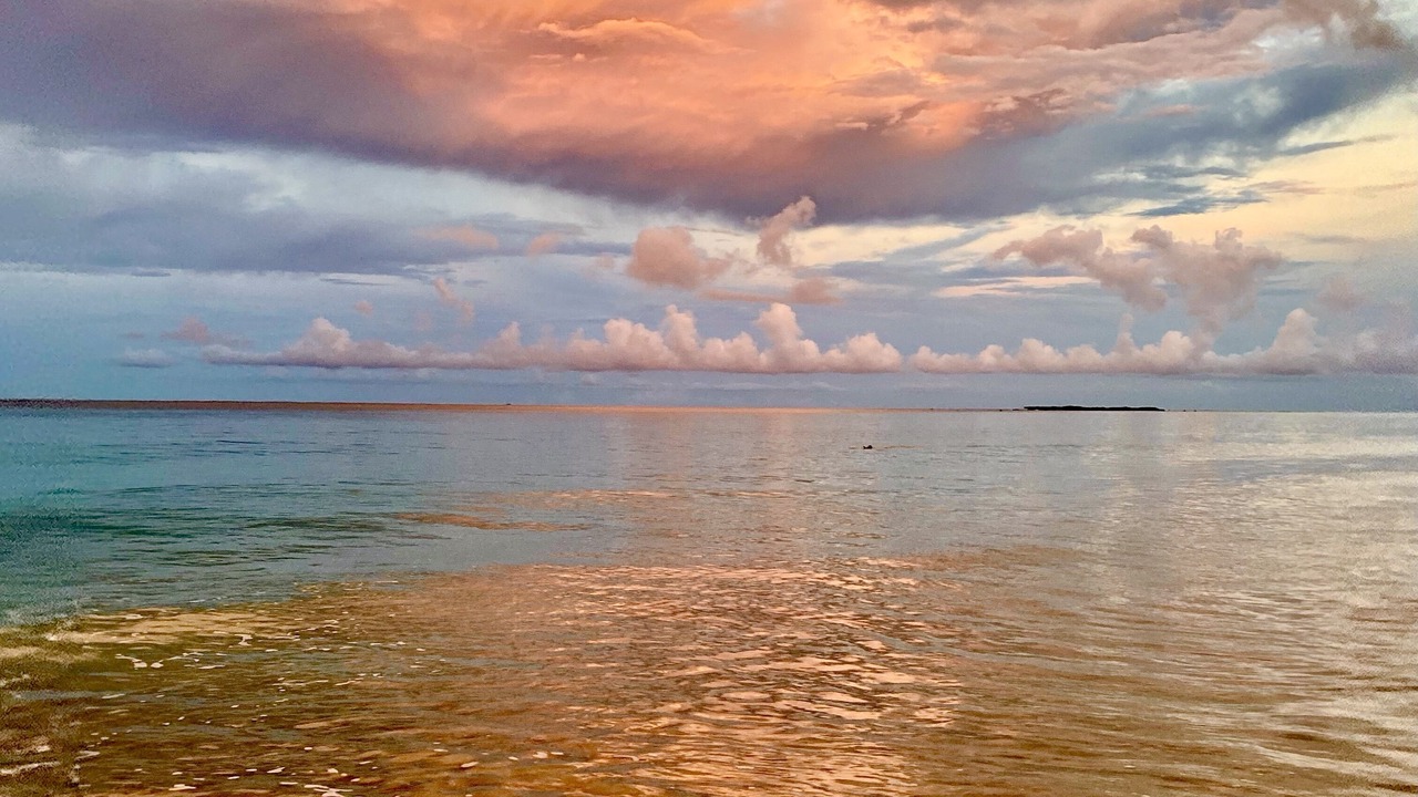 Photo of Others in Kailua
