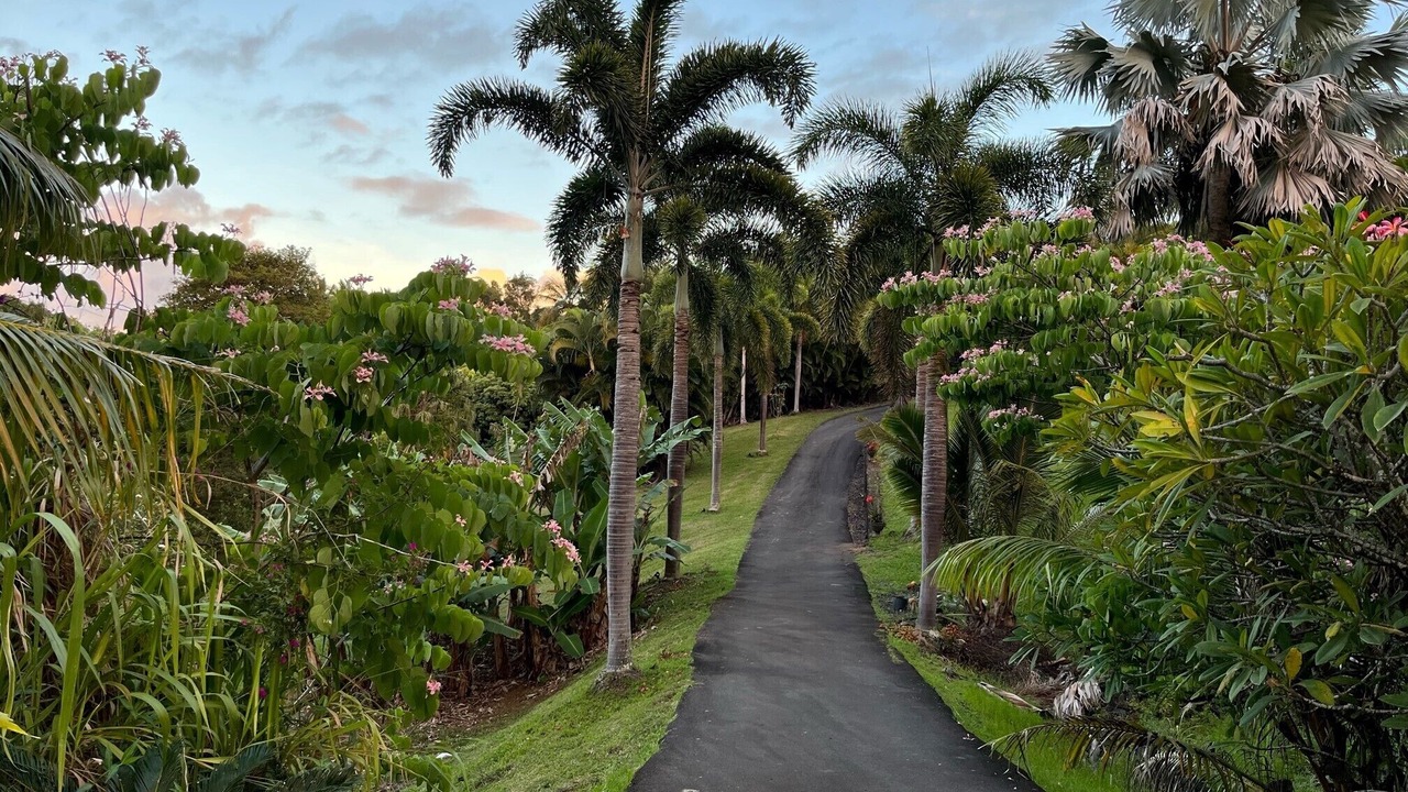 Photo of Outdoor in Ninole