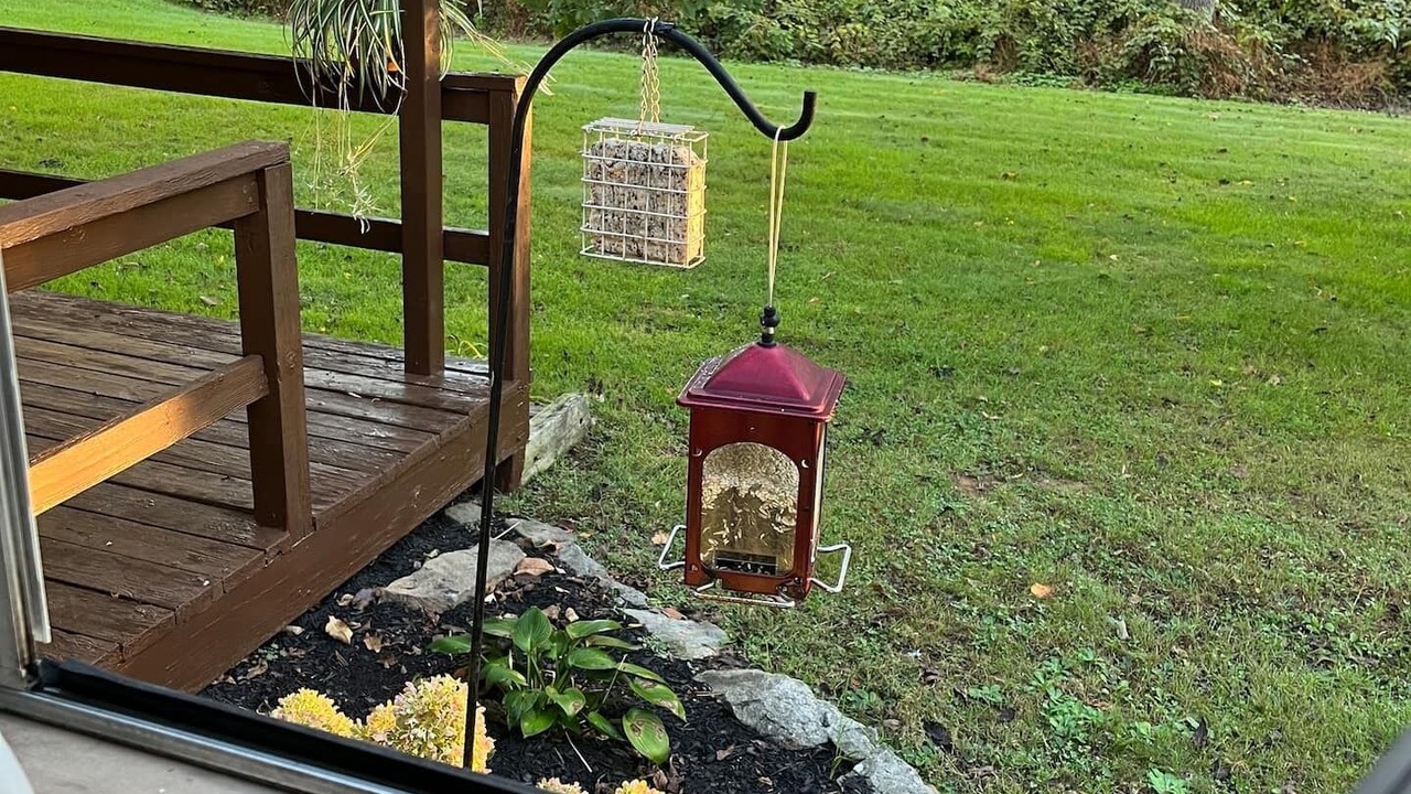 Photo of Outdoor in Adamstown