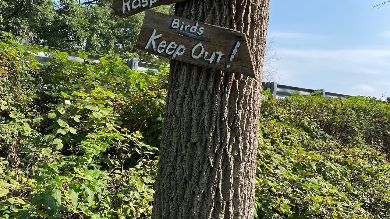 Photo of Outdoor in Adamstown