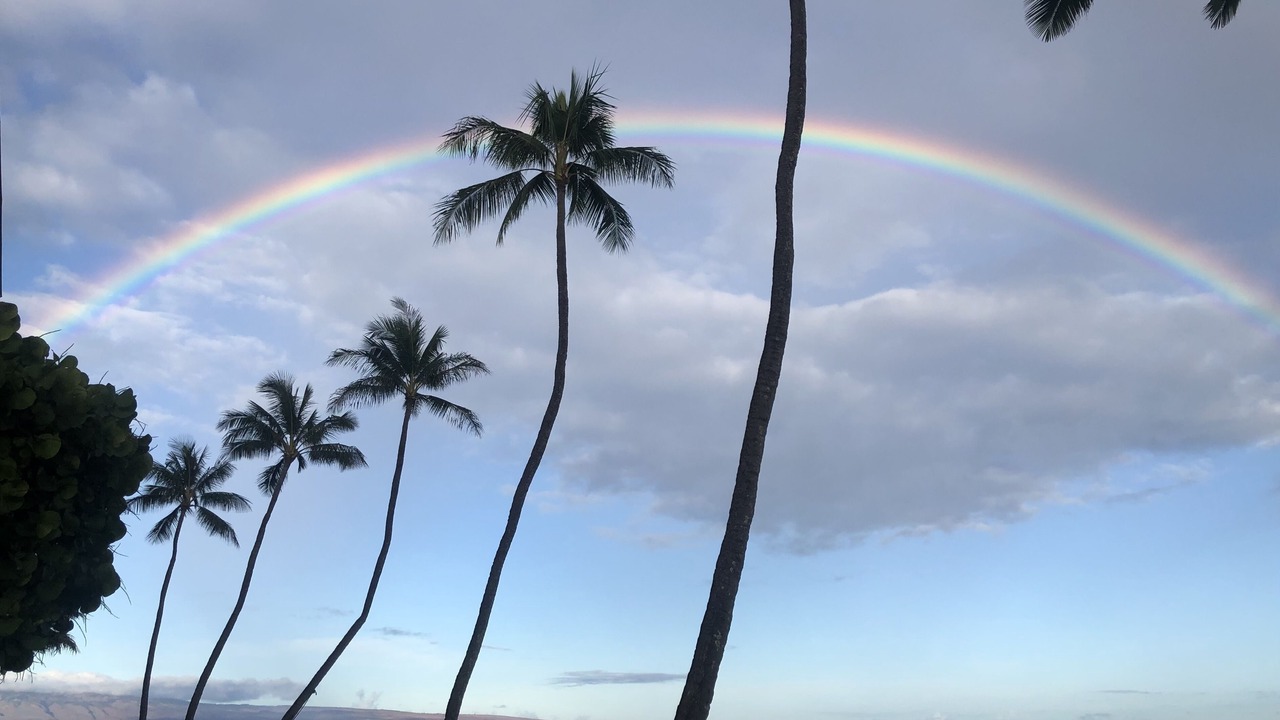 Photo of Others in Honokowai