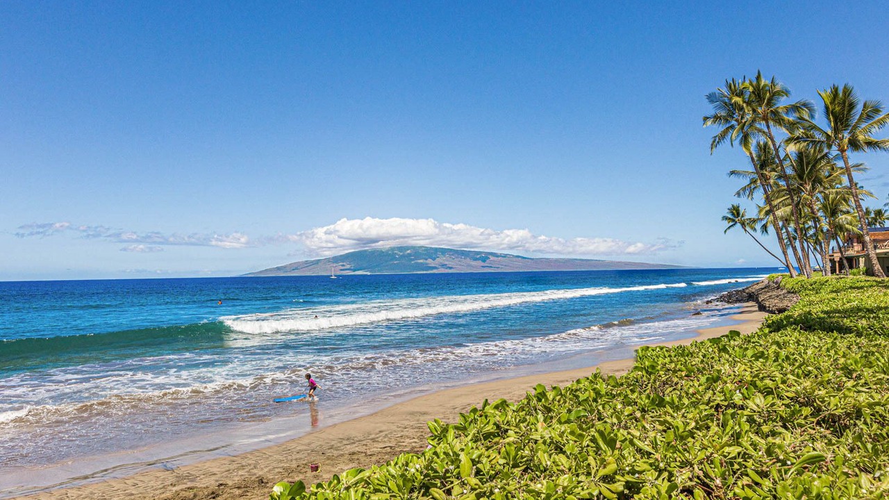 Photo of Others in Downtown Lahaina