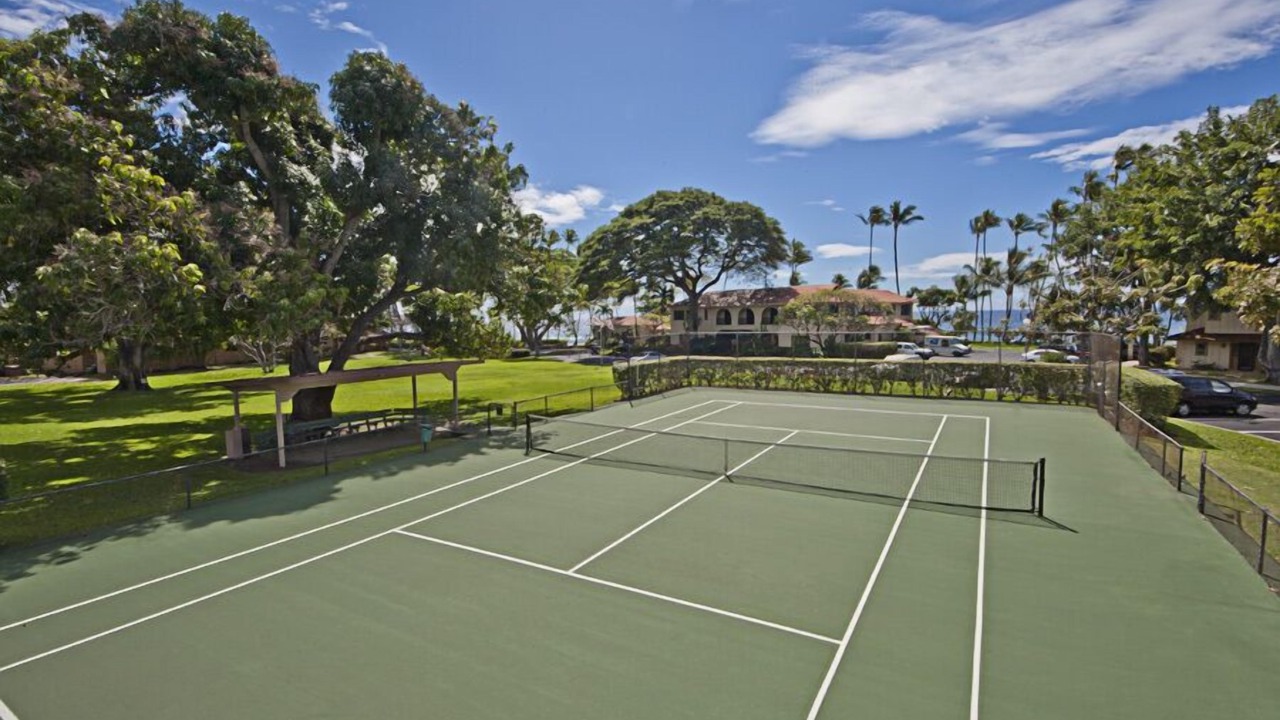 Photo of Others in Downtown Lahaina