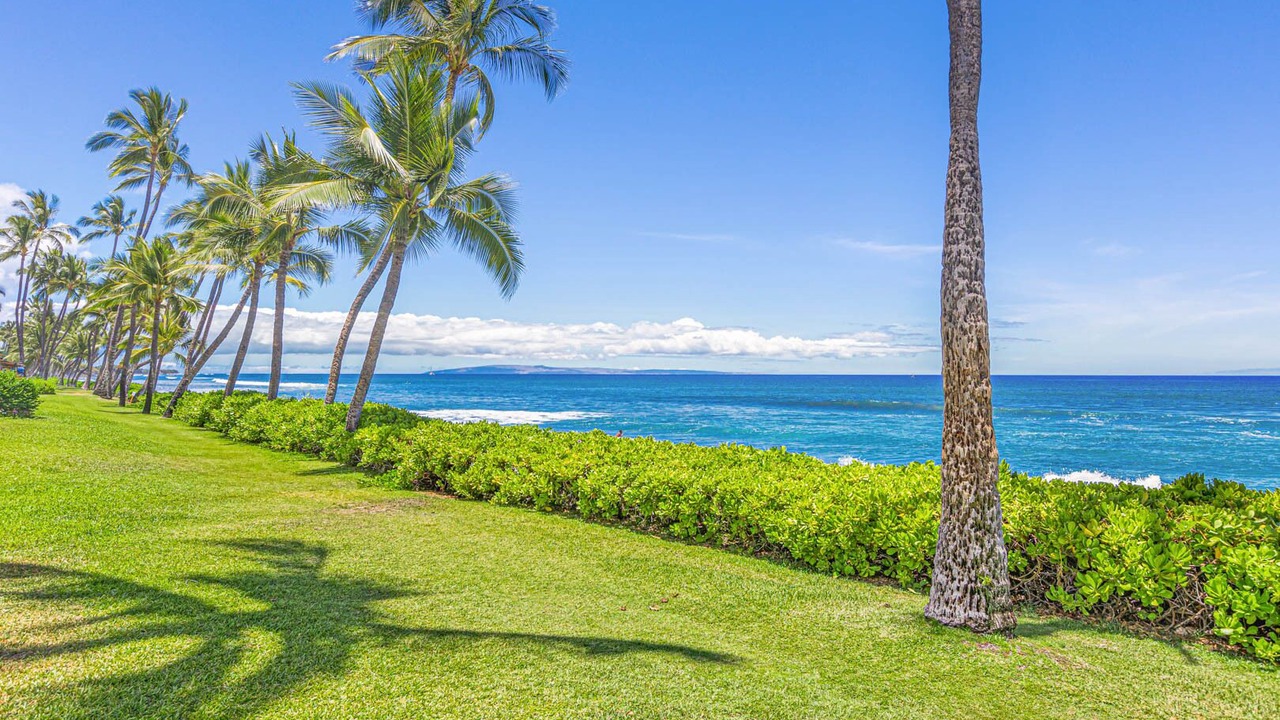 Photo of Others in Downtown Lahaina