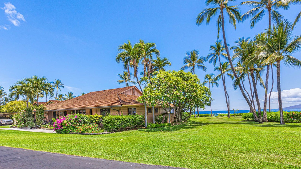 Photo of Outdoor in Downtown Lahaina