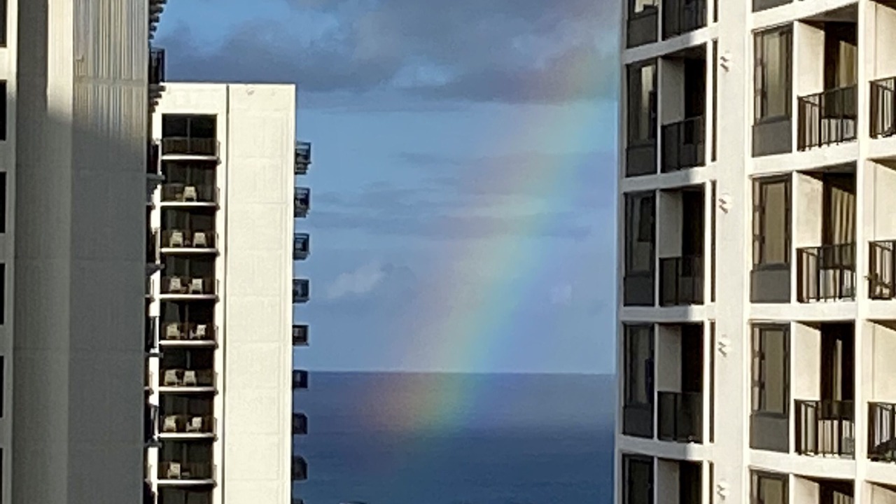 Photo of Others in Waikiki