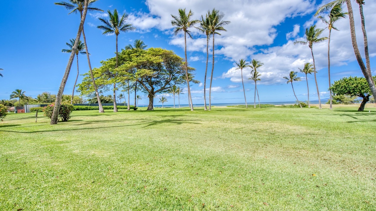 Photo of Others in Kihei
