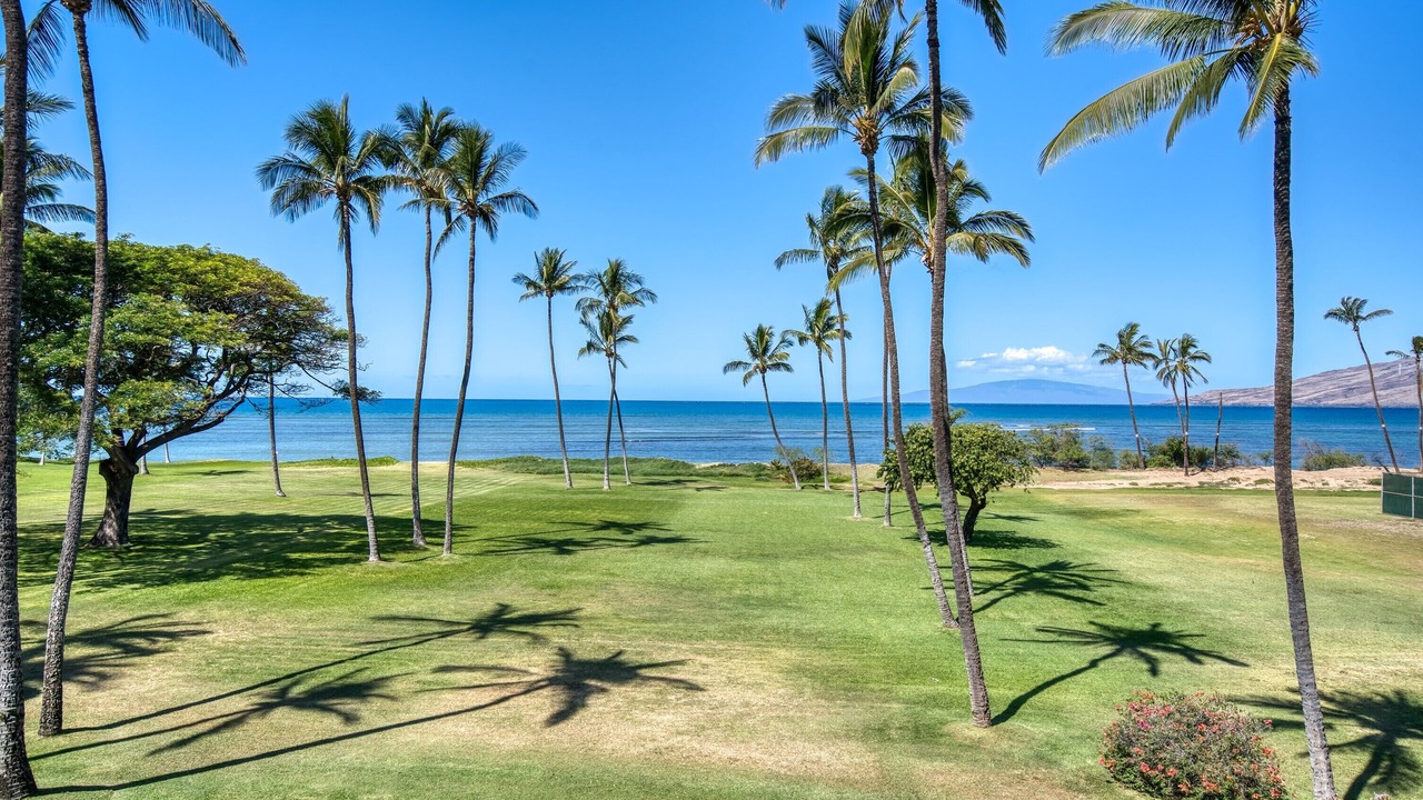 Photo of Outdoor in Kihei