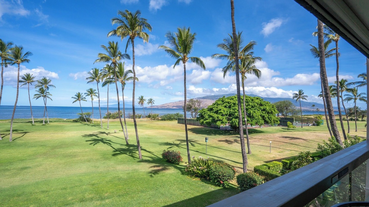 Photo of Outdoor in Kihei