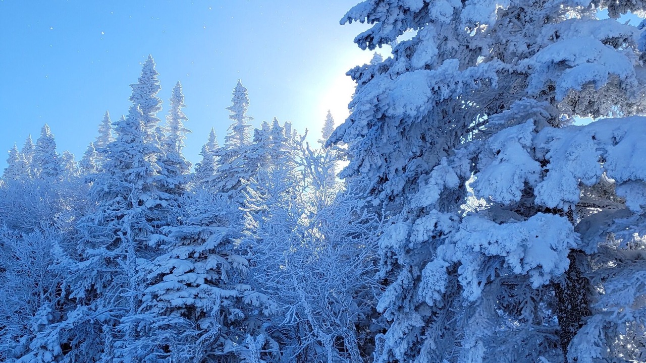 Photo of Outdoor in Carrabassett Valley