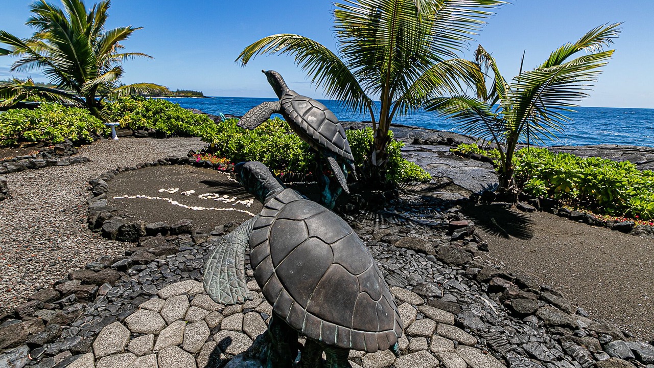 Photo of Outdoor in Keaau