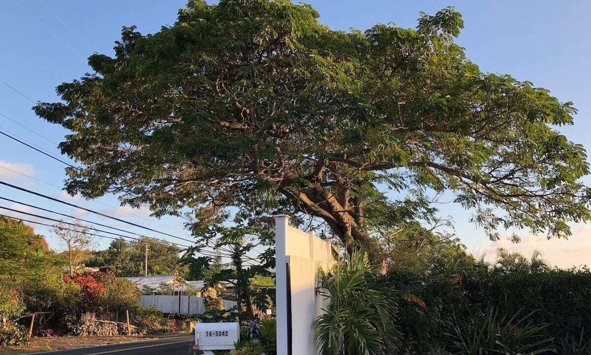 Photo of Outdoor in Kailua-Kona