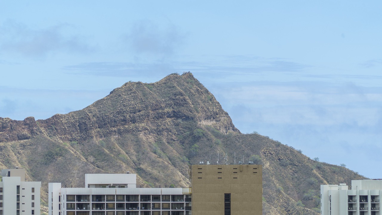 Photo of Others in Waikiki