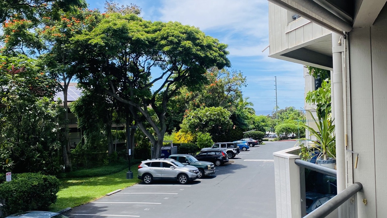 Photo of Others in Historic Kailua Village