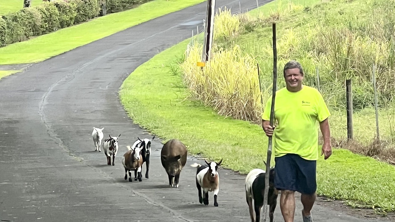Photo of Outdoor in Hana
