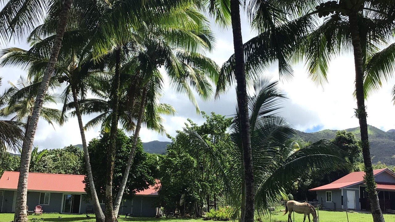 Photo of Outdoor in Hana