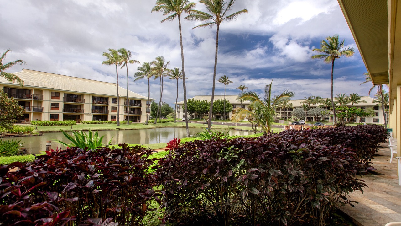 Photo of Outdoor in Hanamaulu