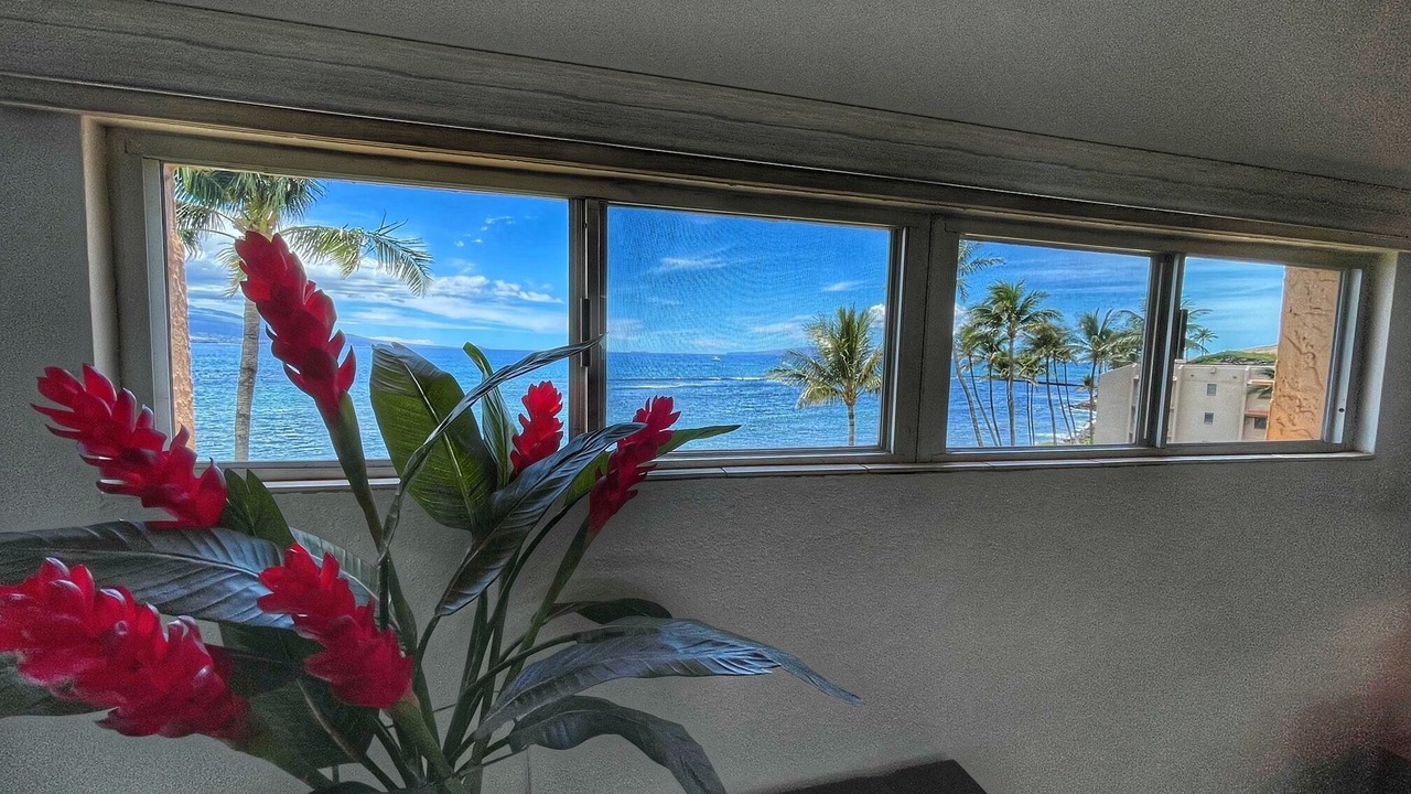 Photo of Others in Maalaea
