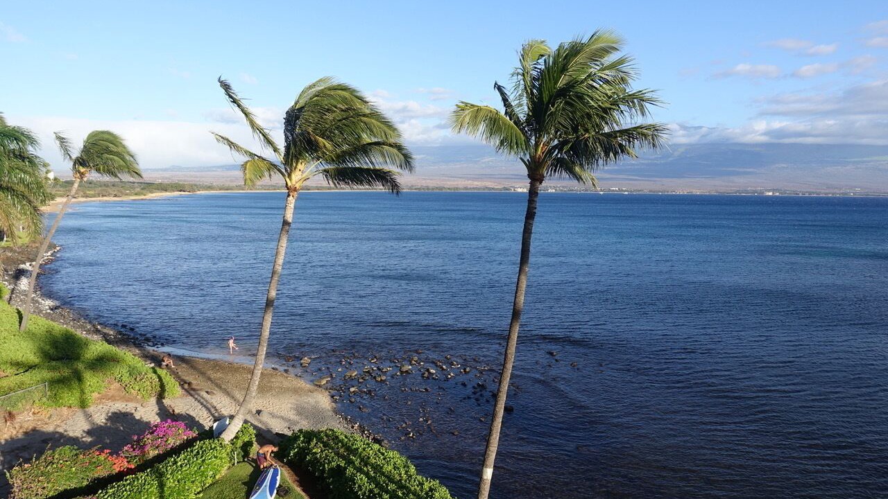Photo of Others in Maalaea
