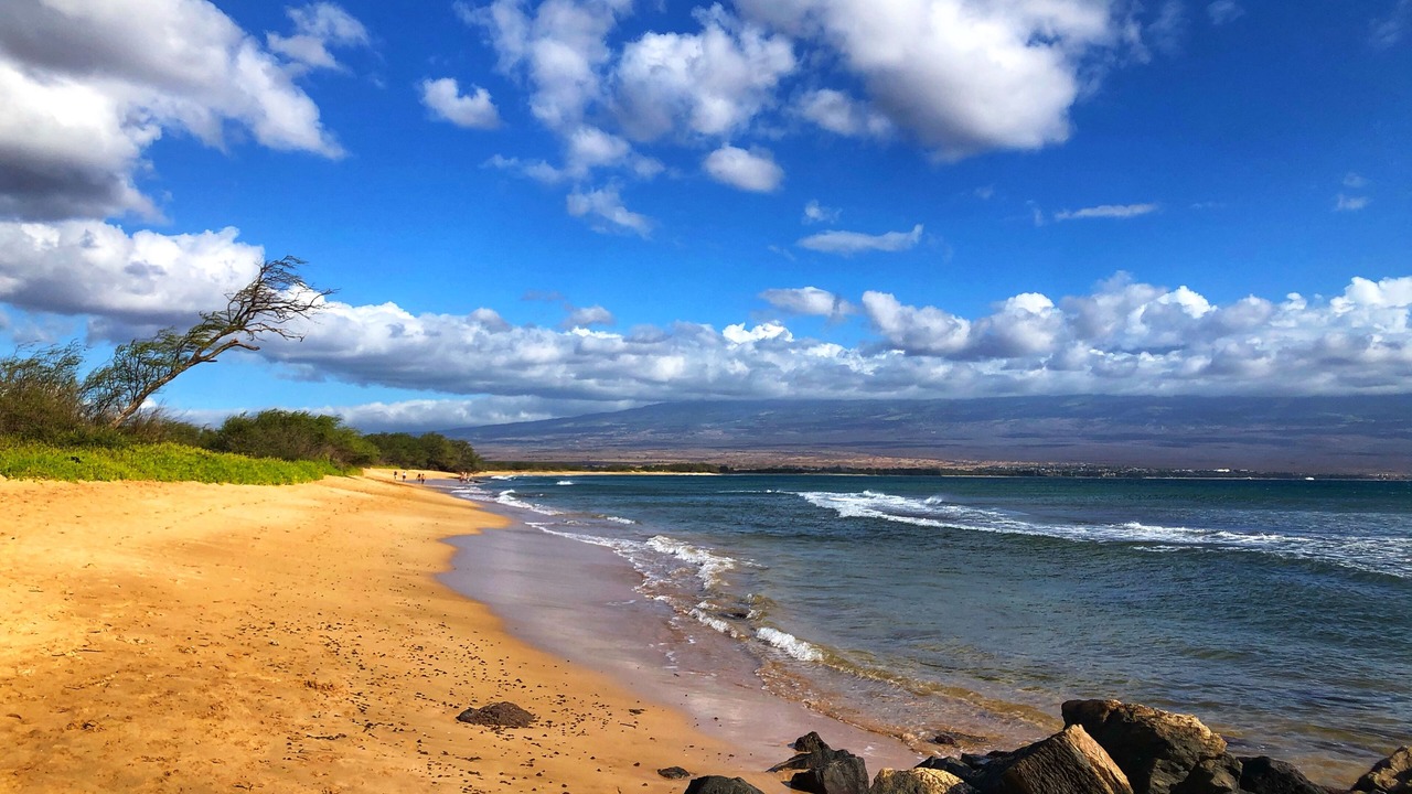 Photo of Others in Maalaea