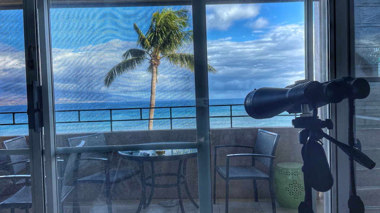 Photo of Others in Maalaea
