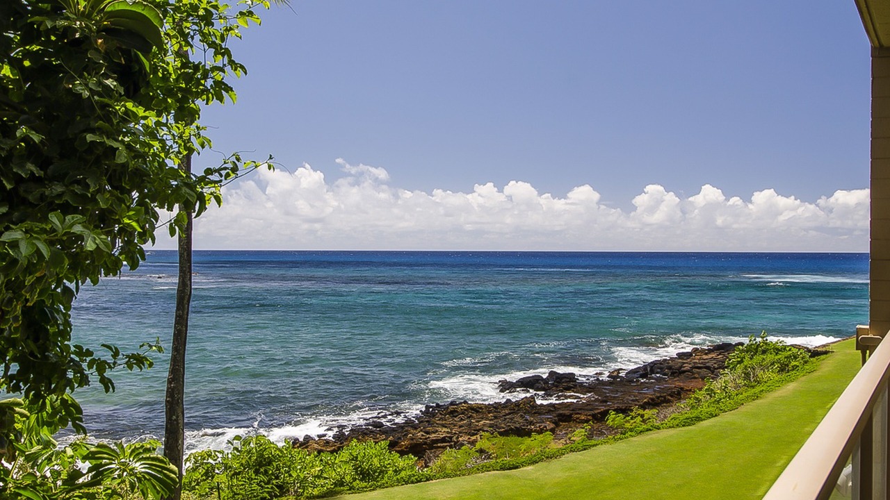 Photo of Outdoor in Poipu