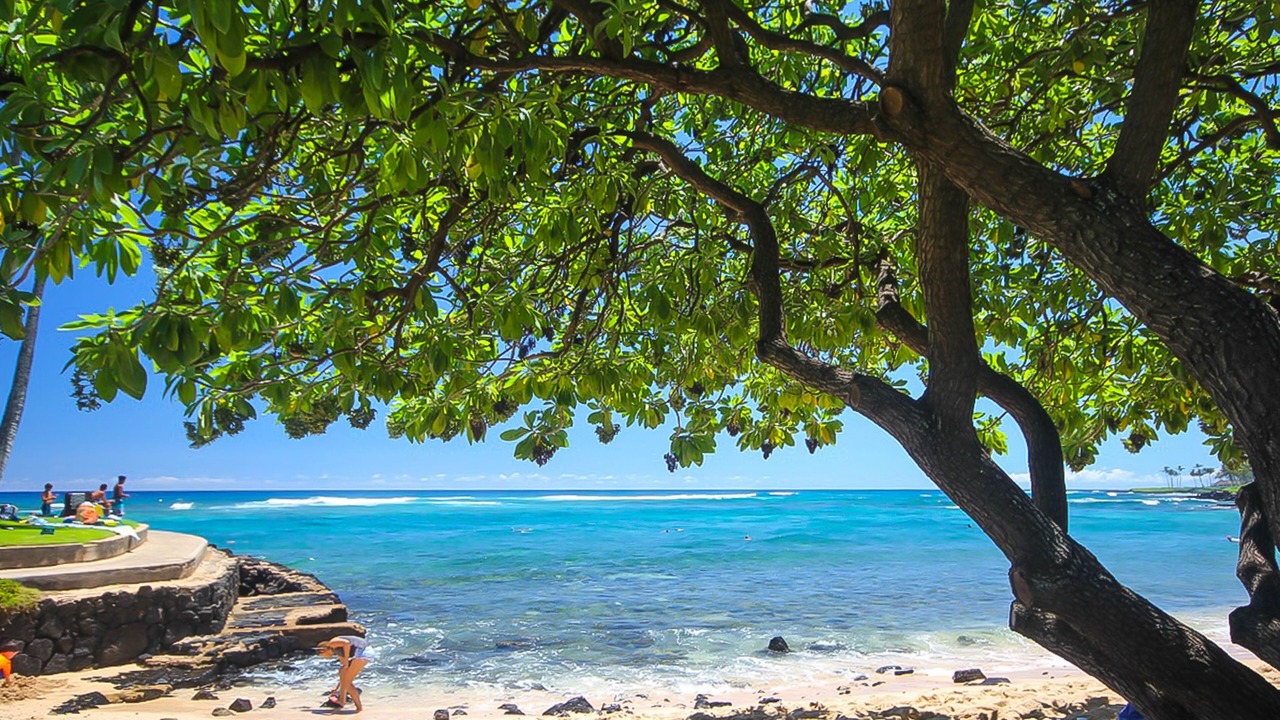 Photo of Others in Poipu