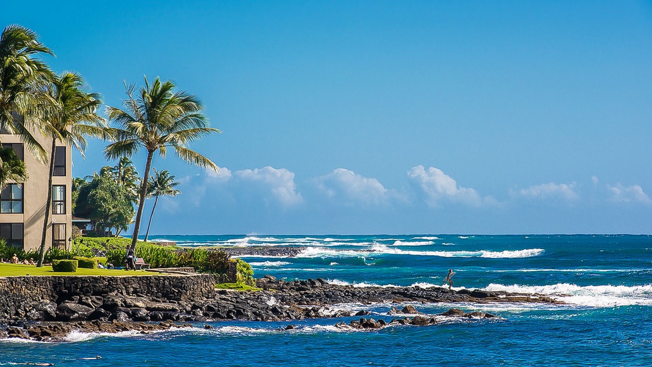 Photo of Others in Poipu