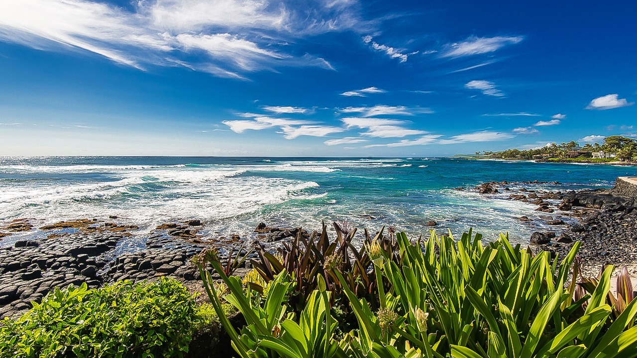 Photo of Others in Poipu