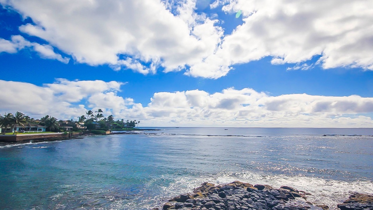 Photo of Others in Poipu