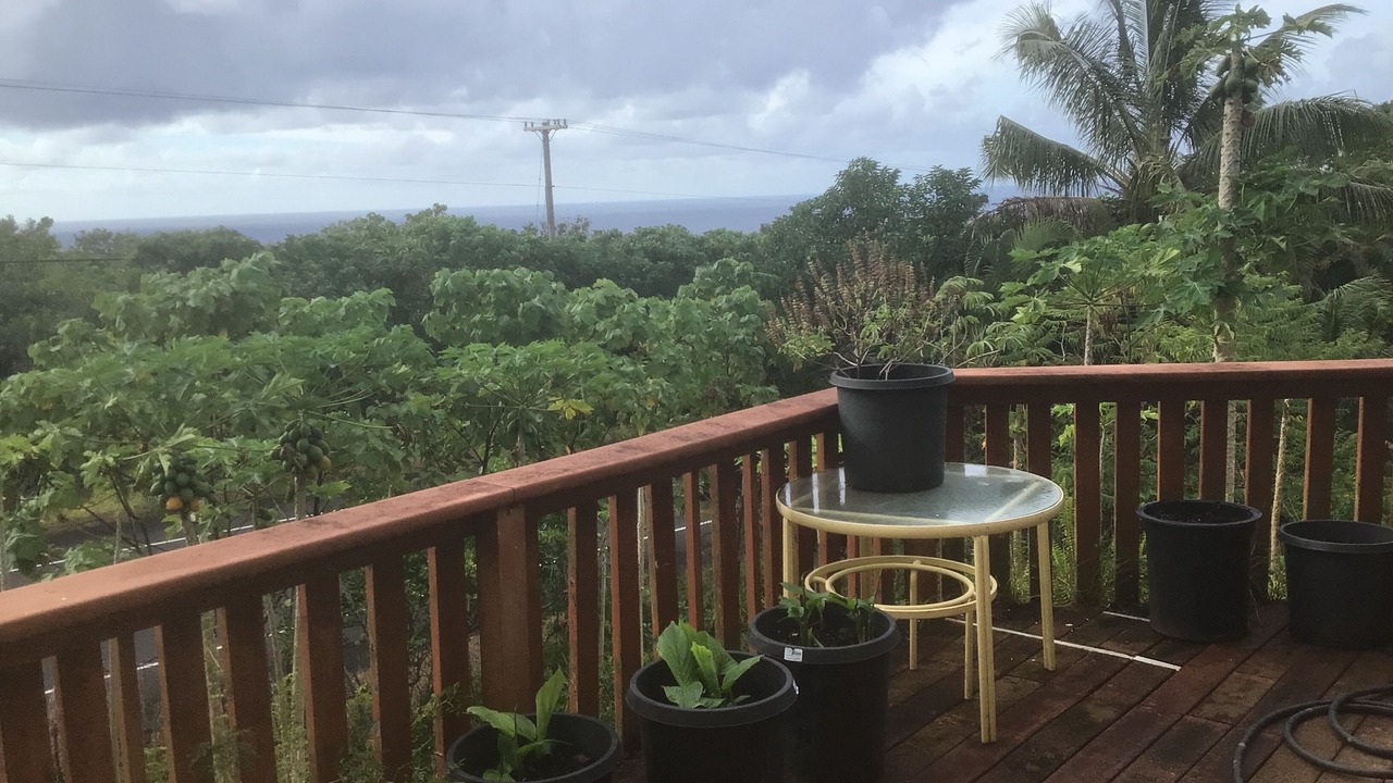 Photo of Outdoor in Pahoa