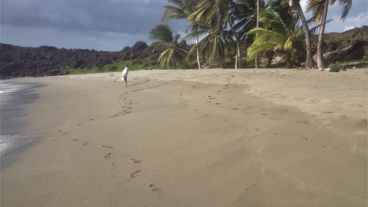 Photo of Others in Ocean View