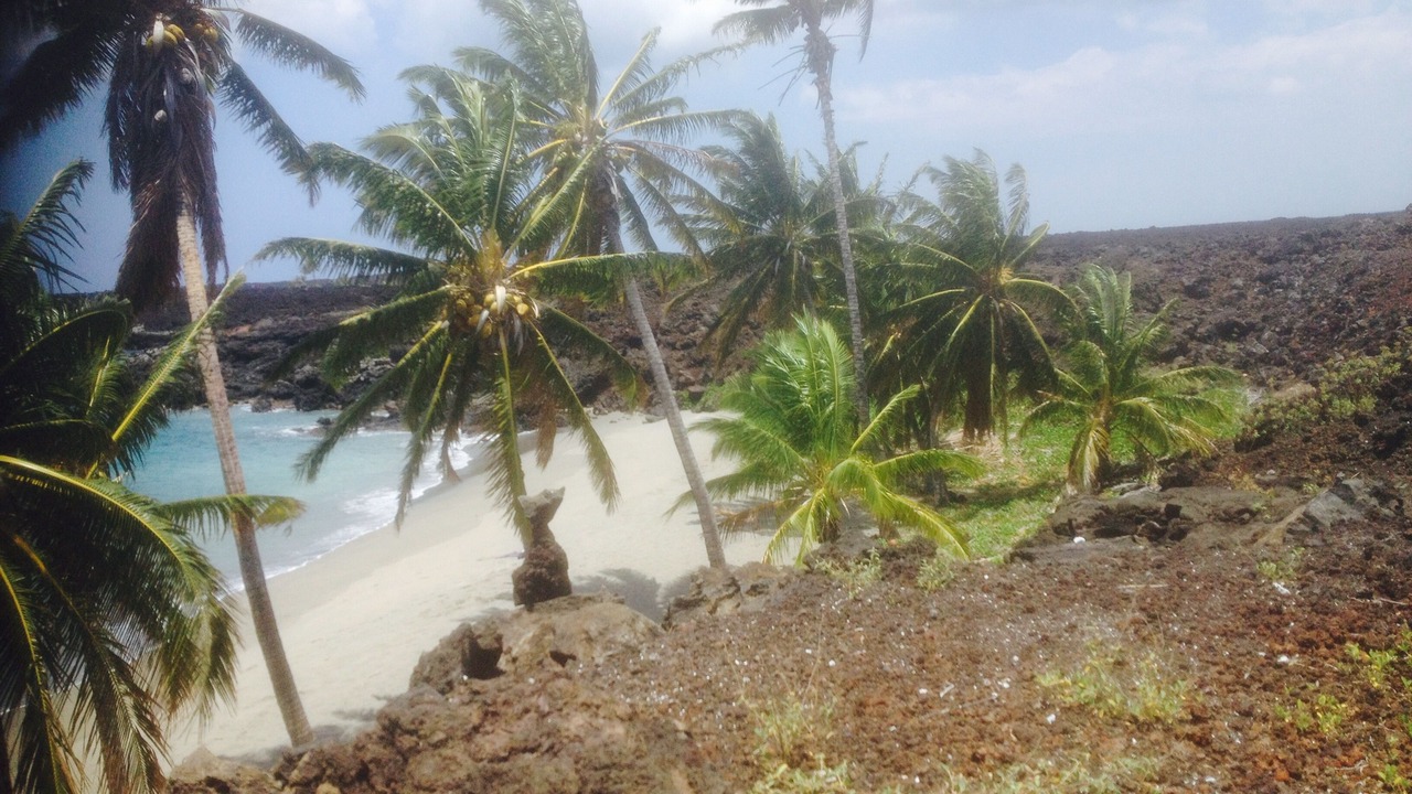 Photo of Others in Ocean View