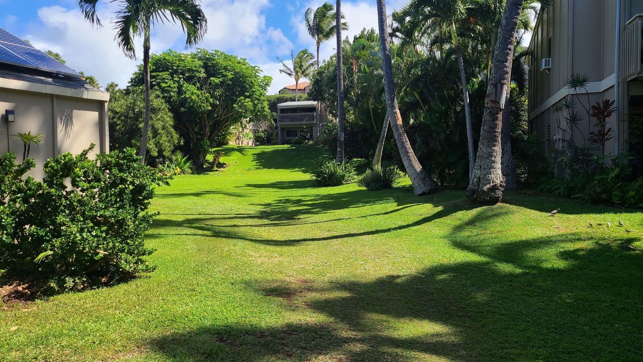 Photo of Others in Kahana