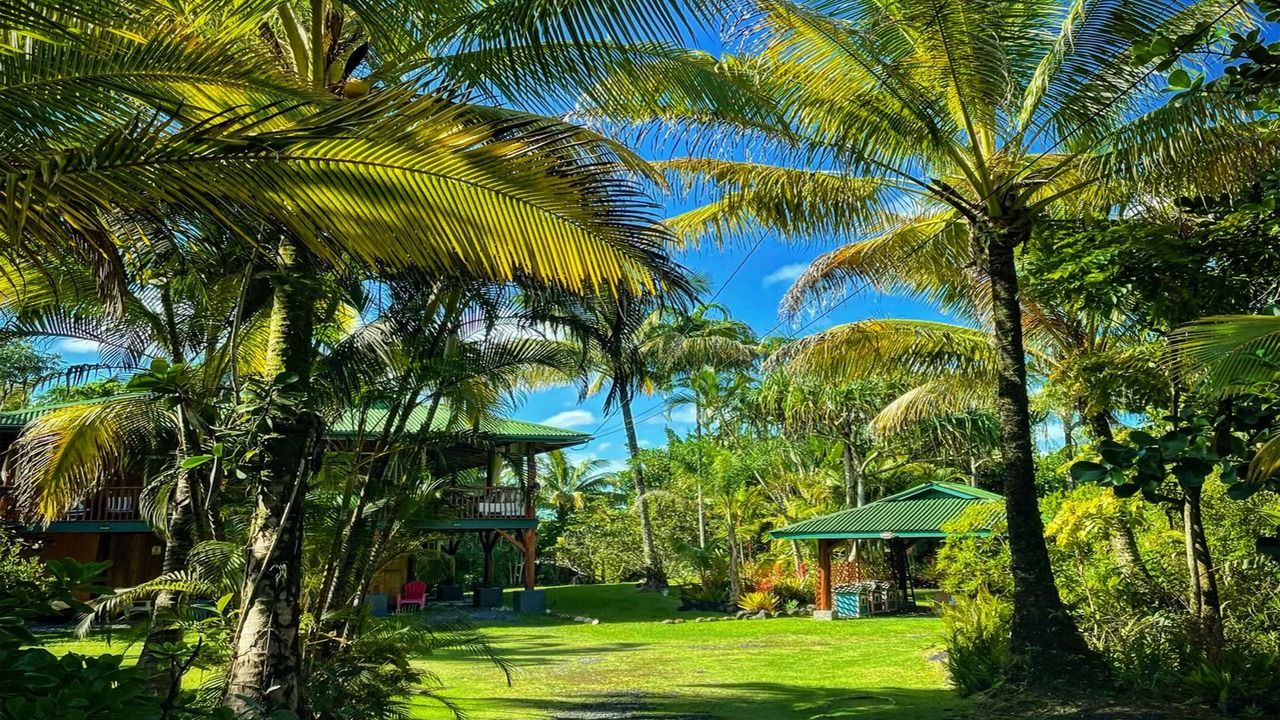 Photo of Outdoor in Keaau
