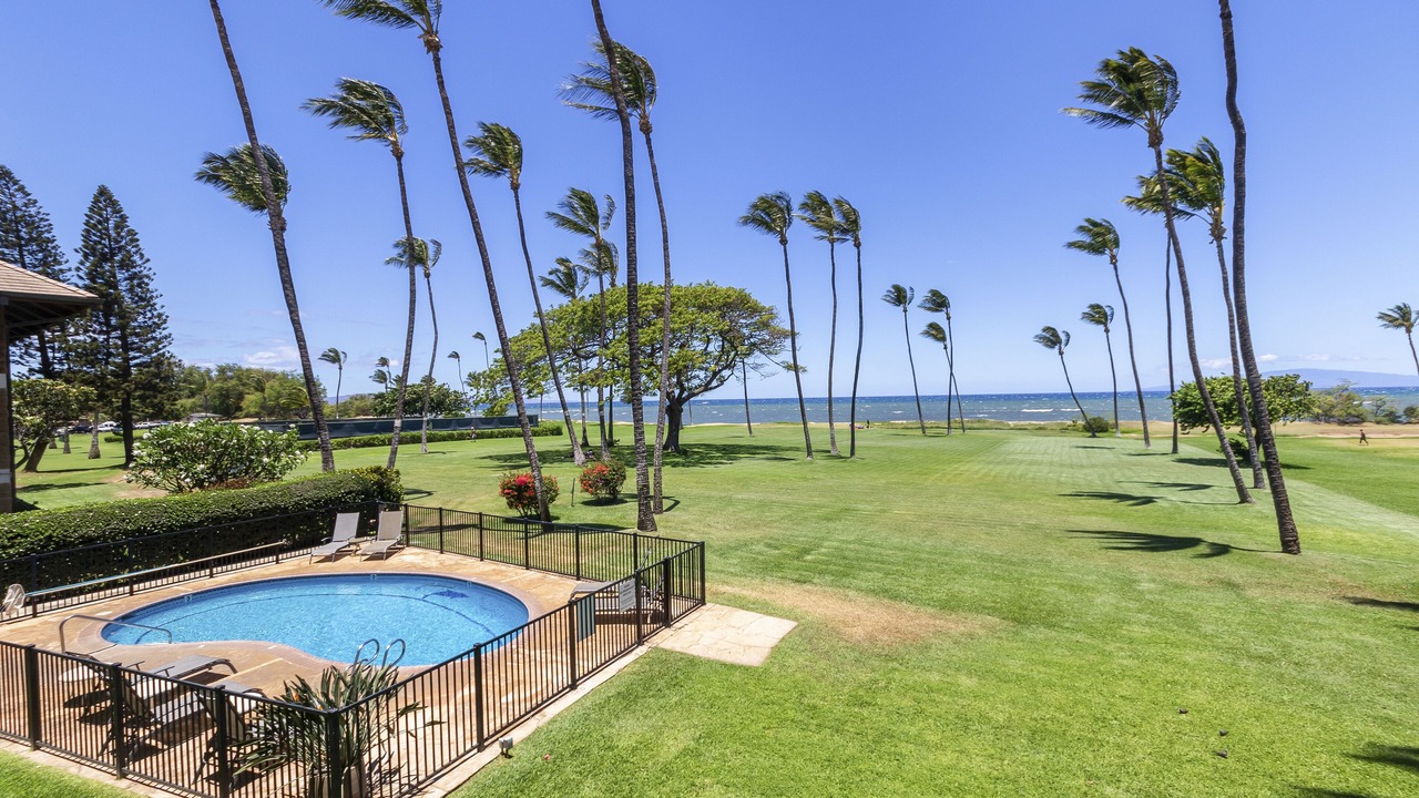 Photo of Outdoor in Kihei