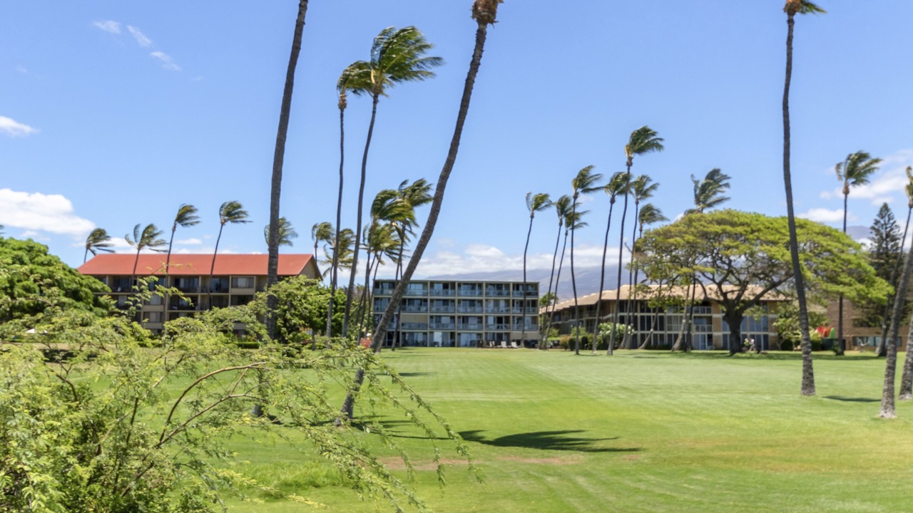Photo of Others in Kihei