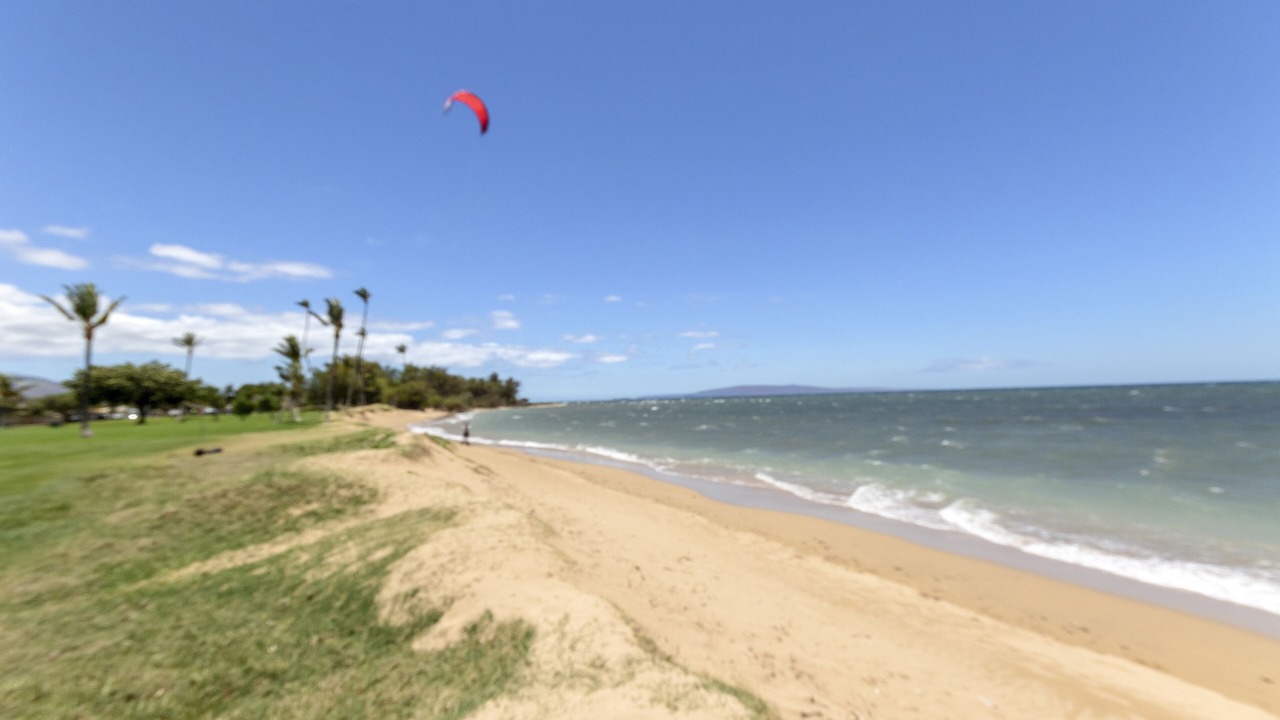 Photo of Others in Kihei