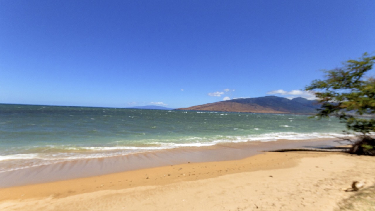 Photo of Others in Kihei