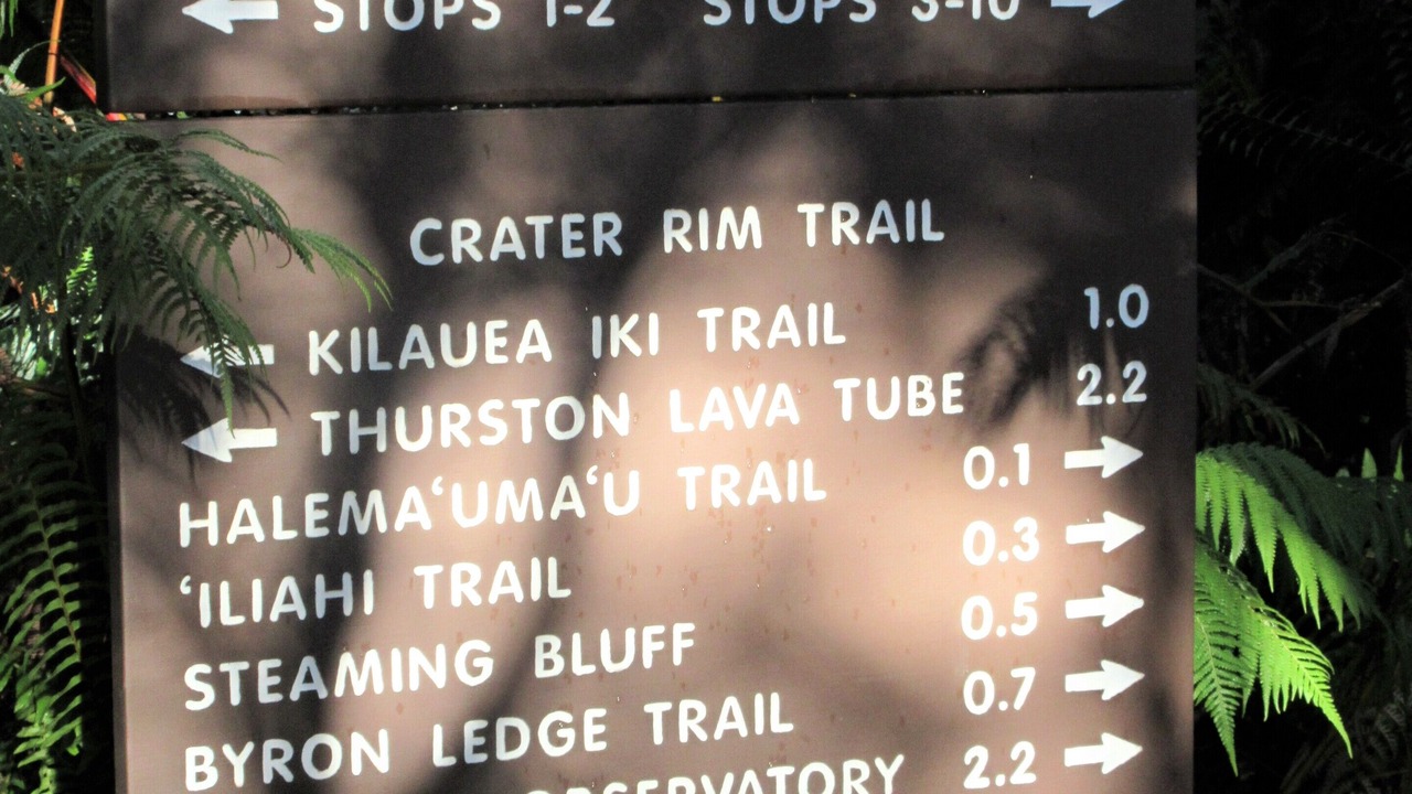 Photo of Others in Hilo