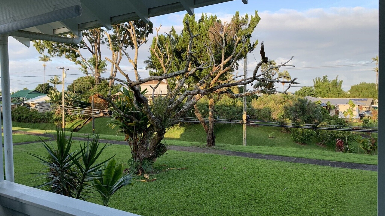 Photo of Others in Hilo