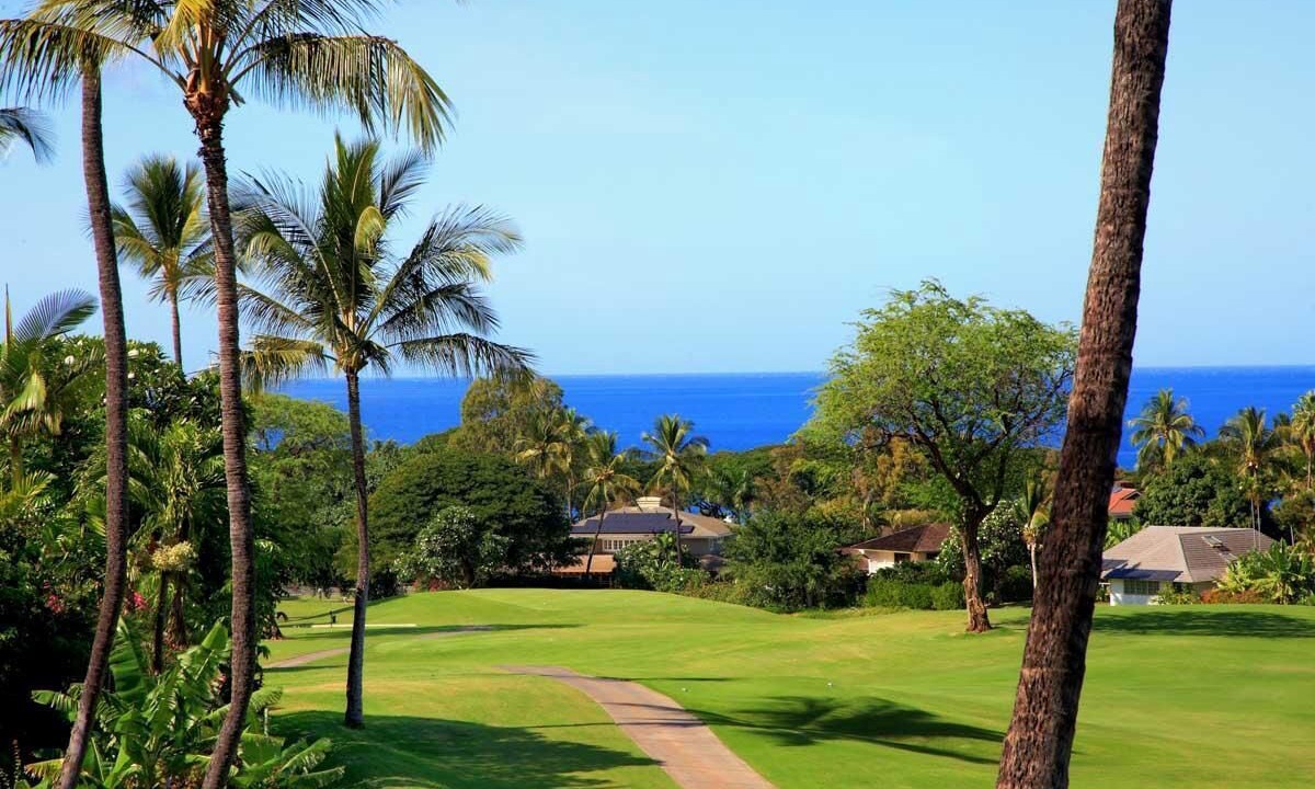 Photo of Others in Wailea