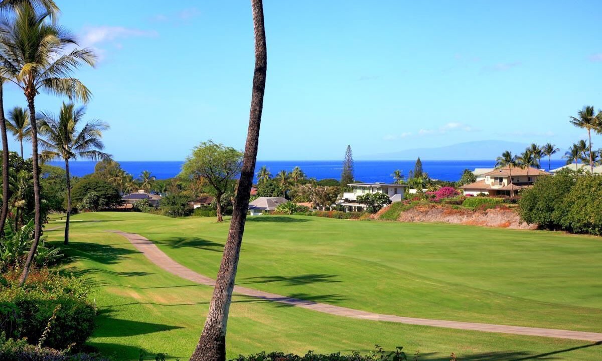Photo of Others in Wailea