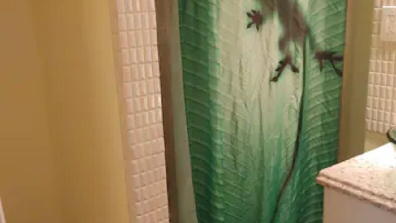 Photo of Bathroom in Ocean View