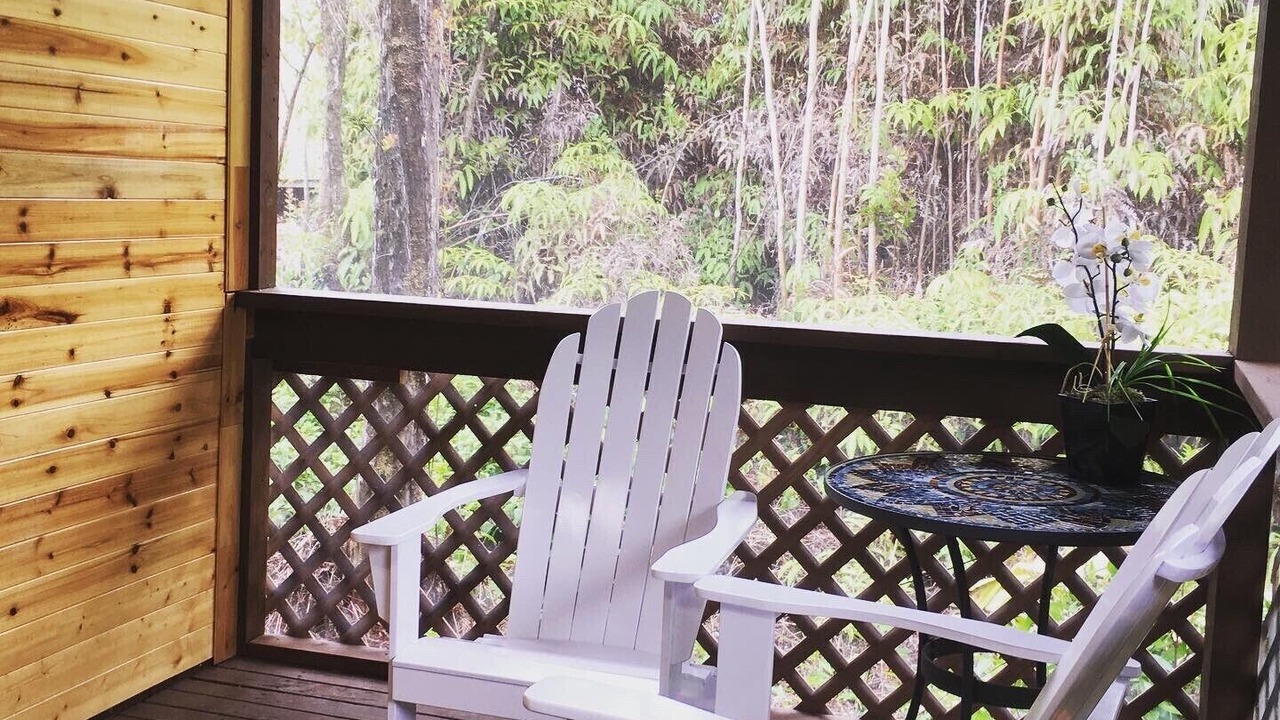 Photo of Outdoor in Fern Forest
