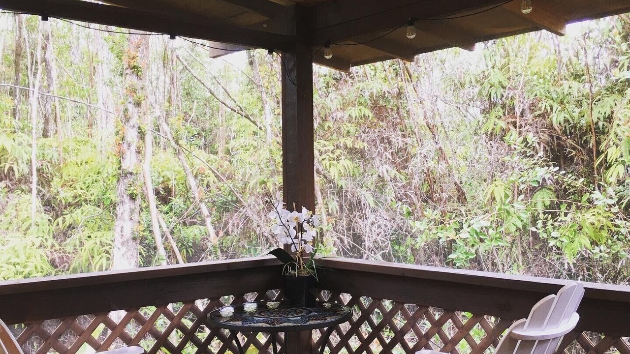 Photo of Outdoor in Fern Forest