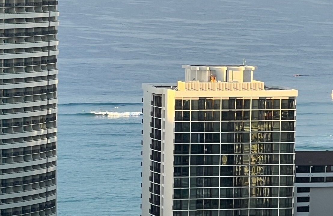 Photo of Others in Waikiki